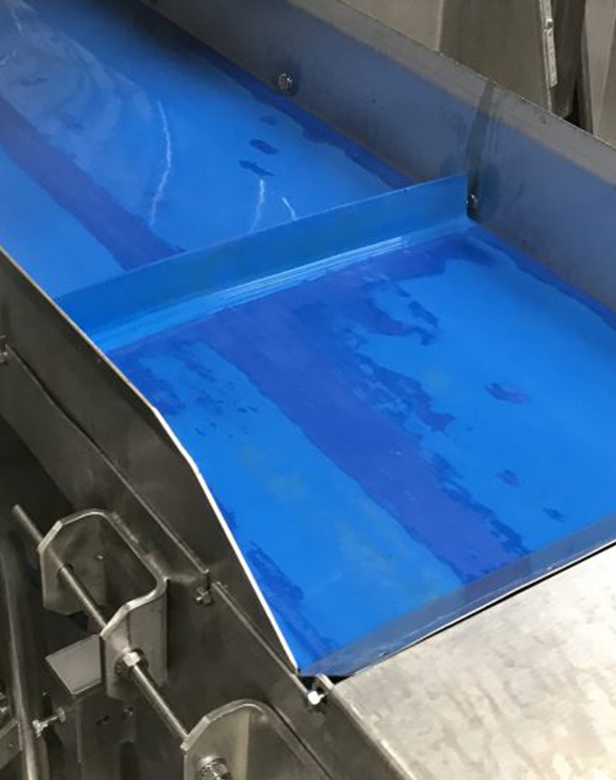 A new conveyor that integrates motor technology from NGI - Friction-free cleaning guaranteed